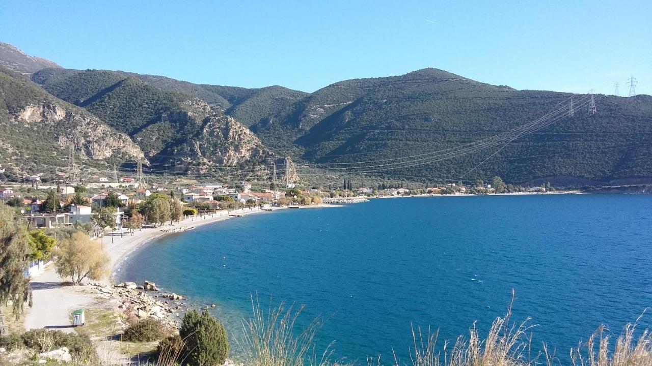Margherita'S Holidays Home Agios Spyridon  Kültér fotó
