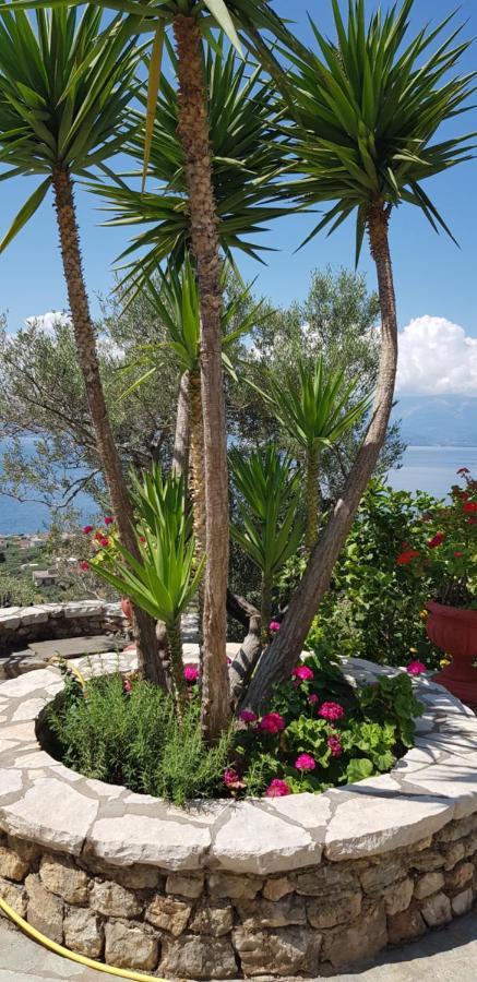 Margherita'S Holidays Home Agios Spyridon  Kültér fotó